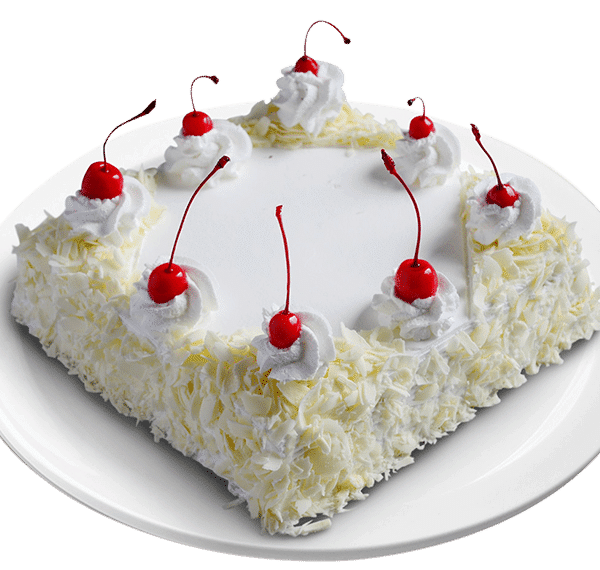 Square Shape Chocolate Vanilla Cake – Delicious Live Bakery