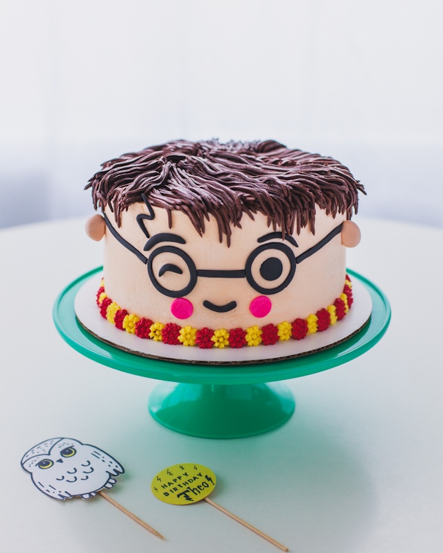 33 Best Harry Potter Cakes in 2022 : Pink Harry Potter Cake