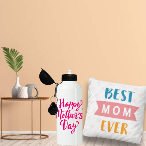 Best Mom Pillow And Bottle Combo