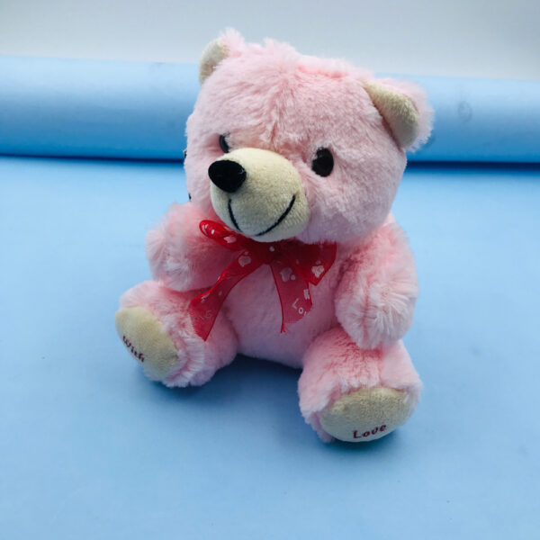 Pink Teddy Rakhi Return Gift