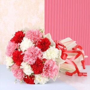 Mixed Carnation Flower Bouquet