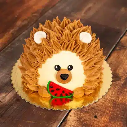 Spiney Hedgehog Cake