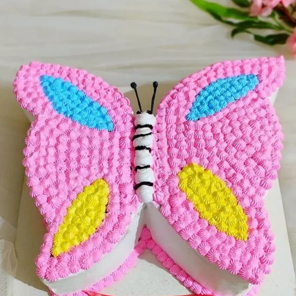 butterfly theme cake